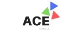 Ace Consulting NG